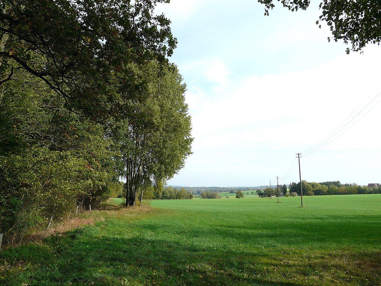 Limes-Wanderweg Limeswanderweg zwischen den Turmstellen Wp 10/14 und Wp 10/15 am Odenwaldlimes